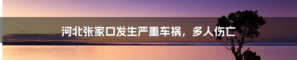 河北张家口发生严重车祸,多人伤亡