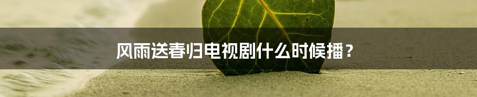 风雨送春归电视剧什么时候播?