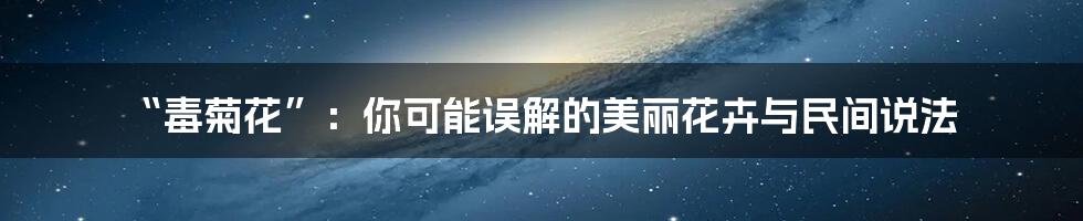 “毒菊花”:你可能误解的美丽花卉与民间说法