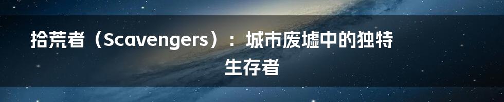 拾荒者（Scavengers）：城市废墟中的独特生存者