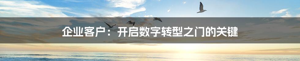 企业客户:开启数字转型之门的关键