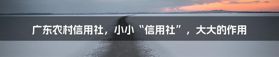 广东农村信用社,小小“信用社”,大大的作用