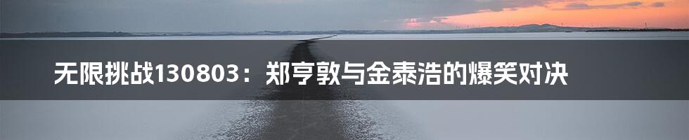 无限挑战130803:郑亨敦与金泰浩的爆笑对决