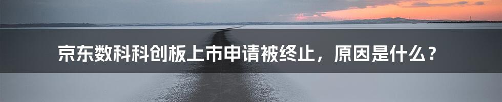 京东数科科创板上市申请被终止,原因是什么?