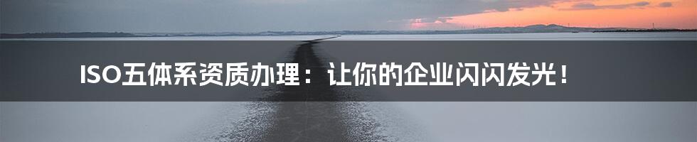 ISO五体系资质办理：让你的企业闪闪发光！