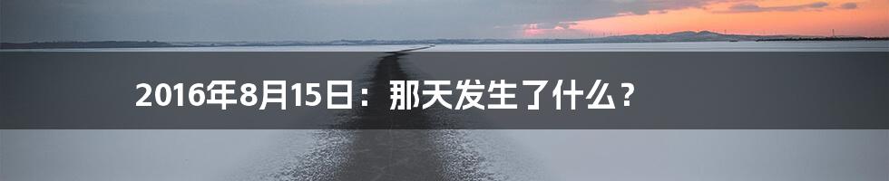 2016年8月15日:那天发生了什么?