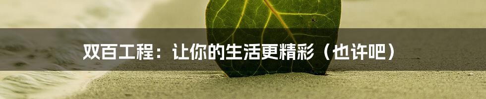 双百工程:让你的生活更精彩(也许吧)