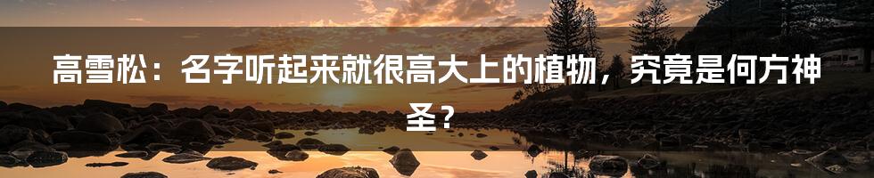 高雪松:名字听起来就很高大上的植物,究竟是何方神圣?