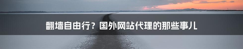 翻墙自由行?国外网站代理的那些事儿