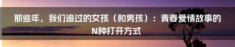 那些年,我们追过的女孩(和男孩):青春爱情故事的N种打开方式
