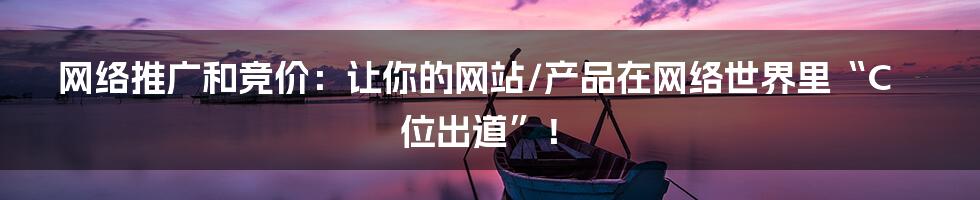 网络推广和竞价:让你的网站/产品在网络世界里“C位出道”!