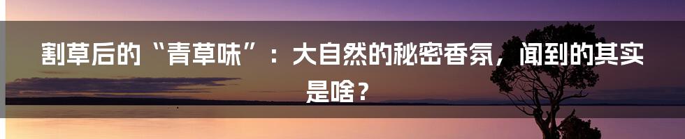 割草后的“青草味”:大自然的秘密香氛,闻到的其实是啥?