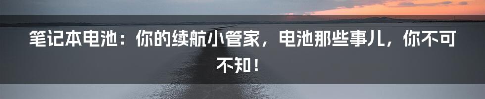 笔记本电池:你的续航小管家,电池那些事儿,你不可不知!