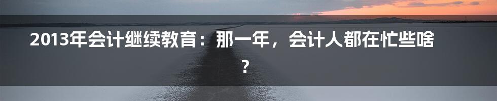 2013年会计继续教育:那一年,会计人都在忙些啥?