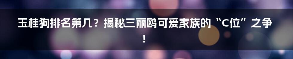 玉桂狗排名第几?揭秘三丽鸥可爱家族的“C位”之争!