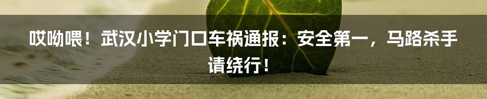 哎呦喂！武汉小学门口车祸通报：安全第一，马路杀手请绕行！