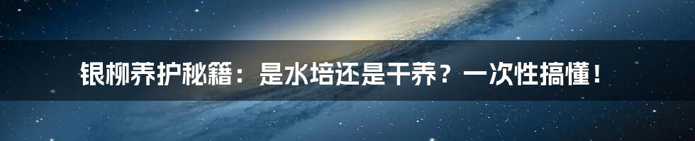 银柳养护秘籍：是水培还是干养？一次性搞懂！