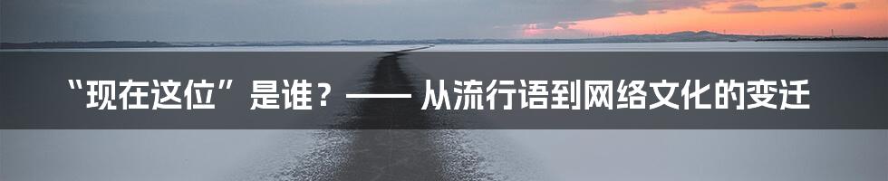 “现在这位”是谁?—— 从流行语到网络文化的变迁