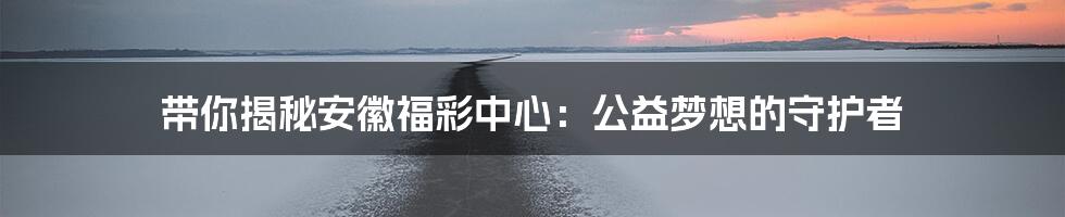 带你揭秘安徽福彩中心:公益梦想的守护者