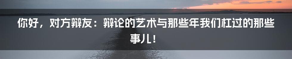 你好，对方辩友：辩论的艺术与那些年我们杠过的那些事儿！