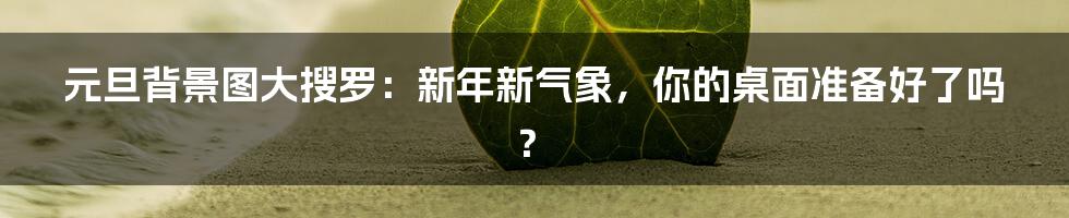 元旦背景图大搜罗:新年新气象,你的桌面准备好了吗?
