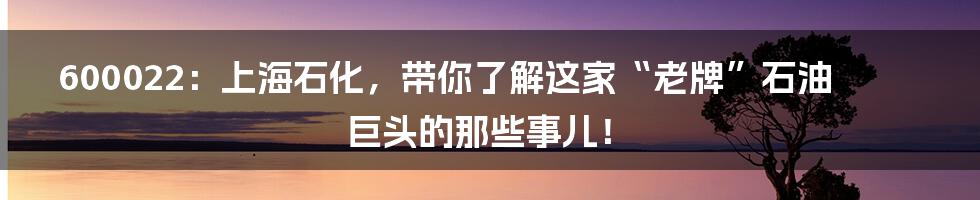 600022:上海石化,带你了解这家“老牌”石油巨头的那些事儿!