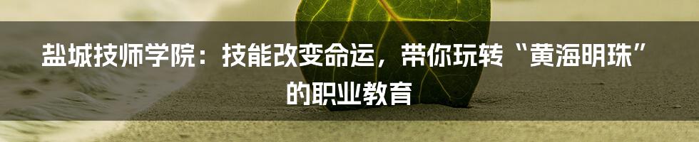 盐城技师学院:技能改变命运,带你玩转“黄海明珠”的职业教育