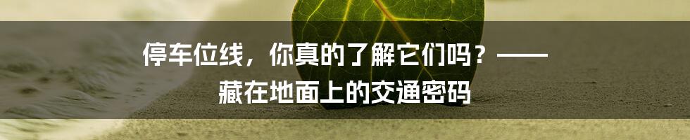 停车位线,你真的了解它们吗?—— 藏在地面上的交通密码