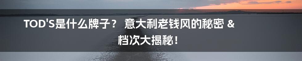TOD'S是什么牌子? 意大利老钱风的秘密 & 档次大揭秘!