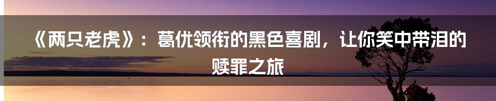 《两只老虎》:葛优领衔的黑色喜剧,让你笑中带泪的赎罪之旅