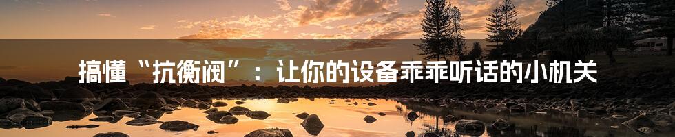 搞懂“抗衡阀”：让你的设备乖乖听话的小机关