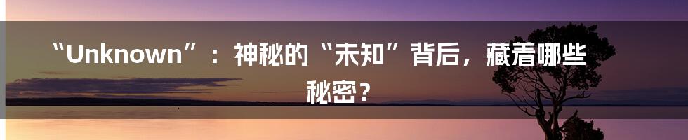 “Unknown”：神秘的“未知”背后，藏着哪些秘密？