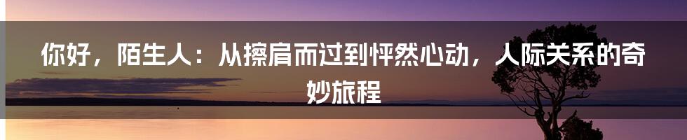 你好,陌生人:从擦肩而过到怦然心动,人际关系的奇妙旅程