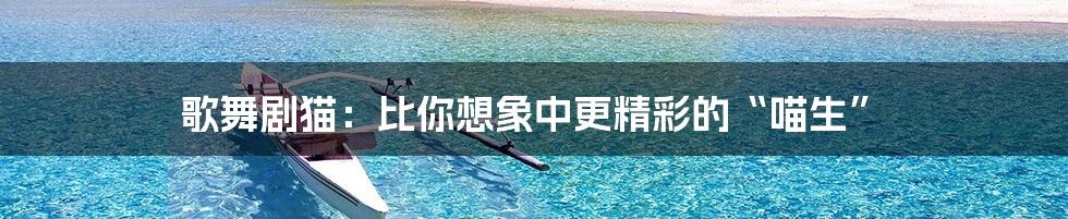 歌舞剧猫:比你想象中更精彩的“喵生”
