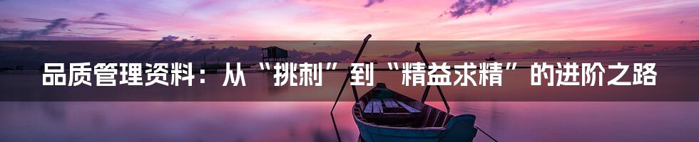 品质管理资料:从“挑刺”到“精益求精”的进阶之路
