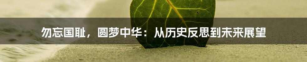 勿忘国耻,圆梦中华:从历史反思到未来展望