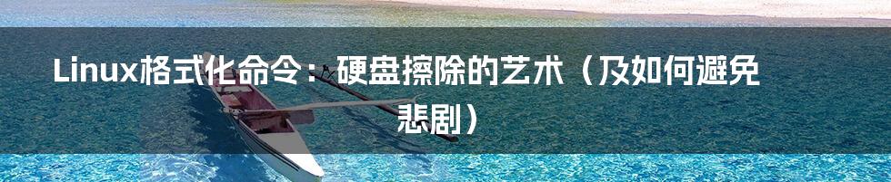 Linux格式化命令：硬盘擦除的艺术（及如何避免悲剧）