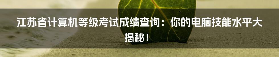江苏省计算机等级考试成绩查询：你的电脑技能水平大揭秘！