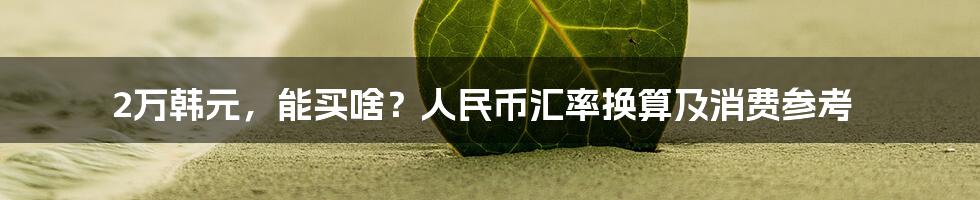 2万韩元，能买啥？人民币汇率换算及消费参考