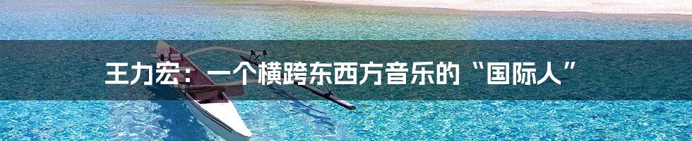 王力宏:一个横跨东西方音乐的“国际人”