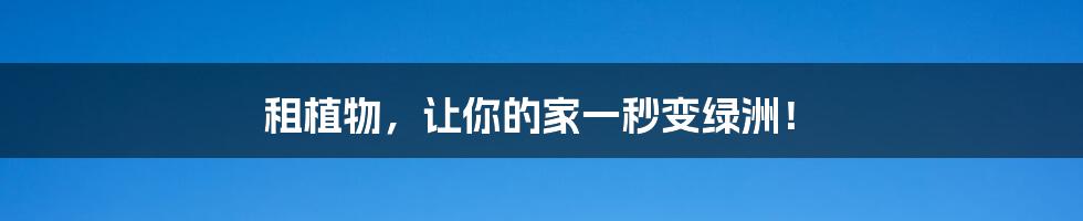 租植物,让你的家一秒变绿洲!