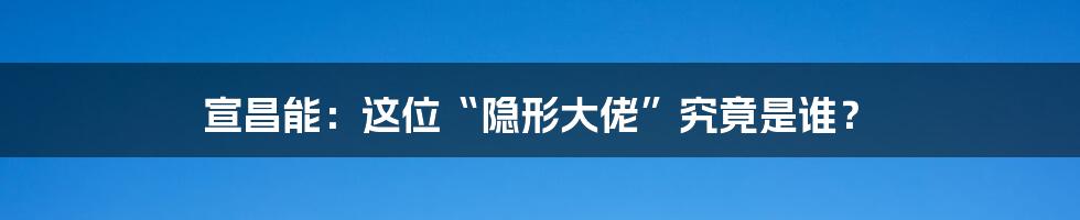 宣昌能:这位“隐形大佬”究竟是谁?