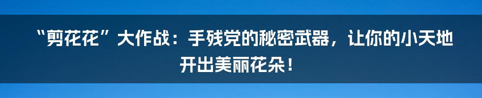“剪花花”大作战：手残党的秘密武器，让你的小天地开出美丽花朵！