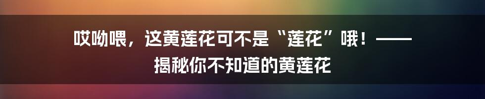 哎呦喂,这黄莲花可不是“莲花”哦!—— 揭秘你不知道的黄莲花