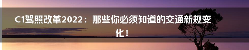 C1驾照改革2022:那些你必须知道的交通新规变化!