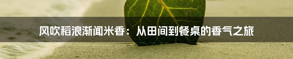 风吹稻浪渐闻米香:从田间到餐桌的香气之旅