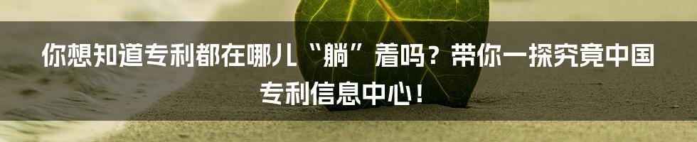 你想知道专利都在哪儿“躺”着吗?带你一探究竟中国专利信息中心!