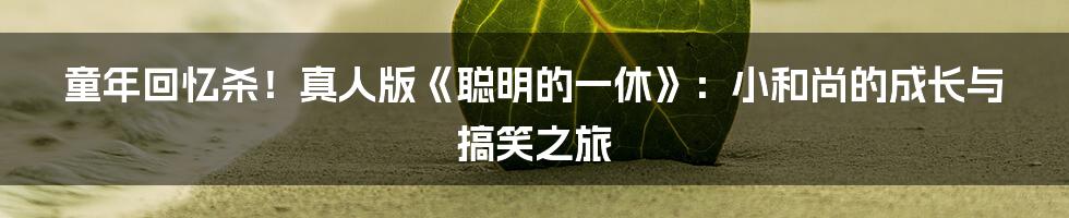 童年回忆杀!真人版《聪明的一休》:小和尚的成长与搞笑之旅