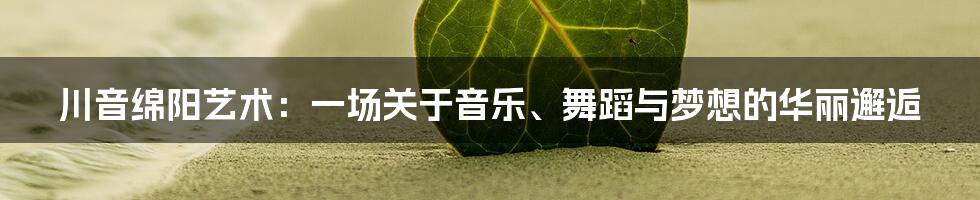 川音绵阳艺术：一场关于音乐、舞蹈与梦想的华丽邂逅