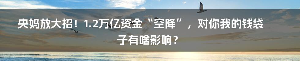 央妈放大招!1.2万亿资金“空降”,对你我的钱袋子有啥影响?